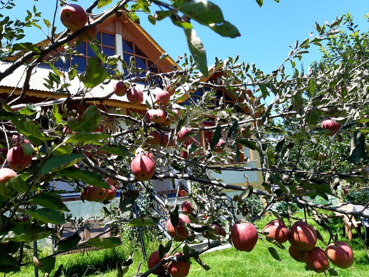 Heavenly Daze Cottage Manāli Eksteriør billede
